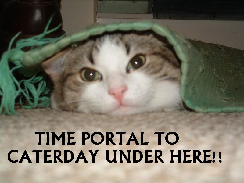 Time Portal to Caterday