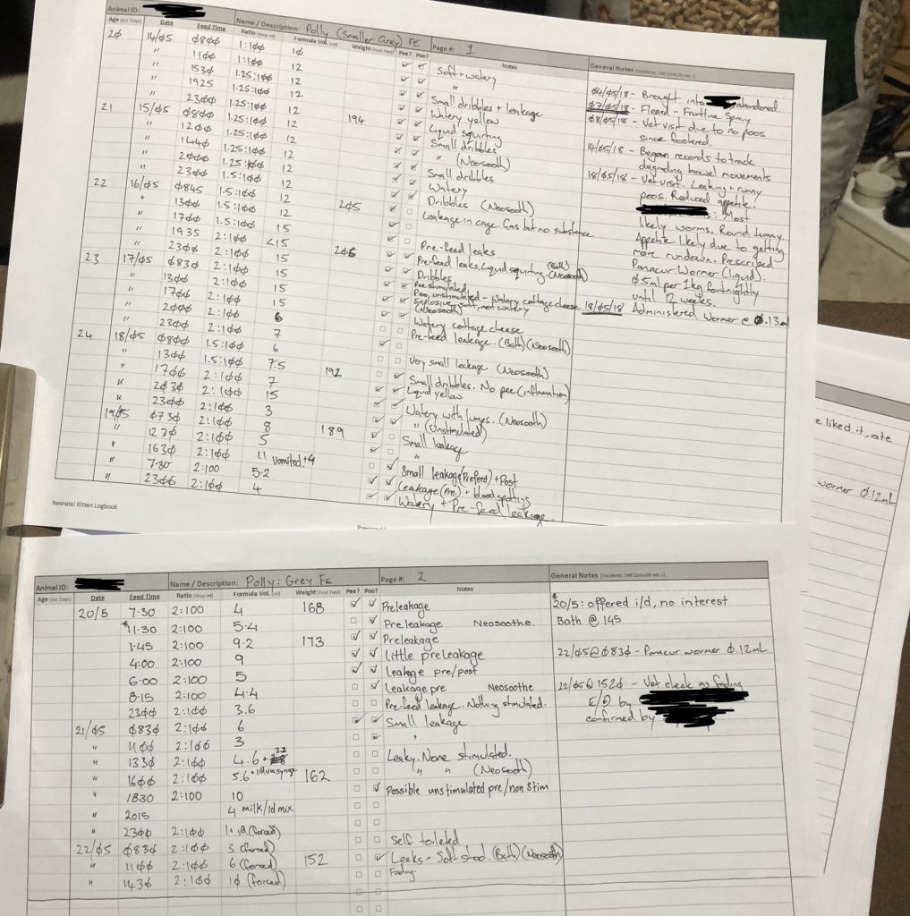 Photo of completed logbook as an example of usage