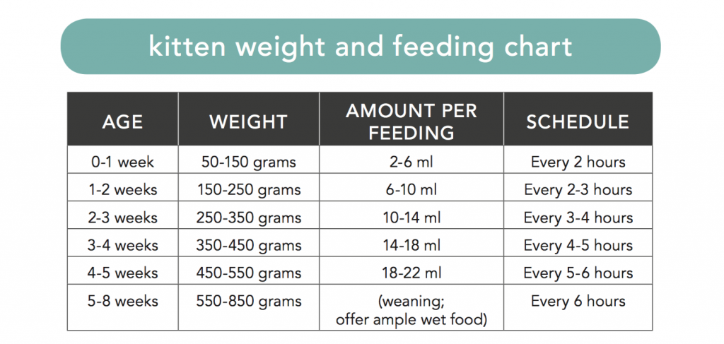 Kitten Weight and Feeding chart